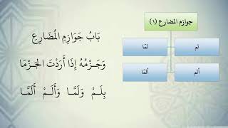 شرح نظم الآجرومية مع التشجير //44//الشيخ محمد محمود الشنقيطي image