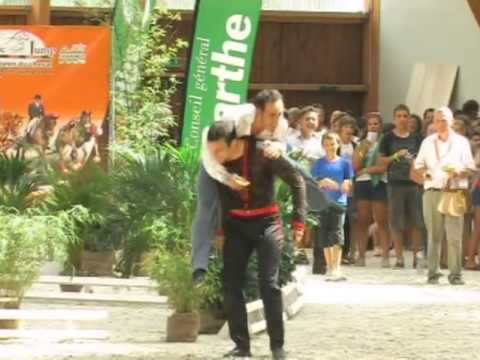 What is Equestrian Vaulting?