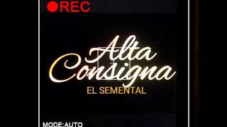 Alta Consigna - El Semental (2016)