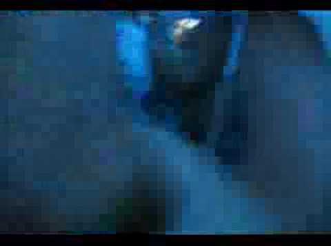 É Campeão - 5 x 0 - Maior goleada do Mineirão