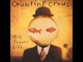 Counting Crows - Hanginaround