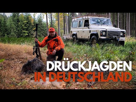 Drückjagden in Deutschland - SAUEN ohne Ende! Hunt on Demand FREE EPISODE