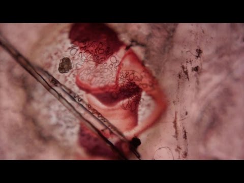 Summer Heat (( part ii ))