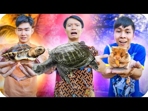 Tony | 1 Ngày Nuôi Thú Cưng 🐢 Tập 4