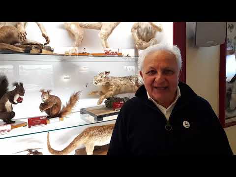 Il cabarettista 'Nduccio per l'orso bruno marsicano