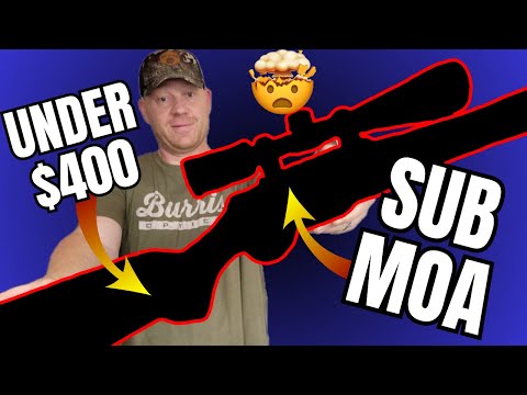 Gun Snobs HATE this Rifle!!! [With Full Ammo Test] Savage Model 334