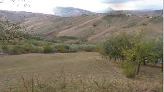 tragedia-nei-campi-ad-ariano