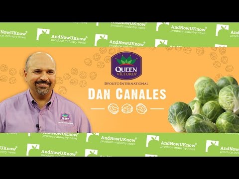 AndNowUKnow - Ippolito - Shop Talk