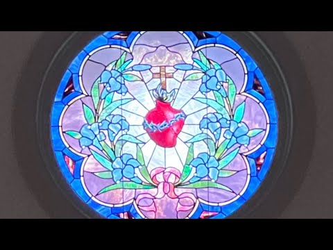 Haurietis Aqua 45-66 “You will draw waters” in celebration of the Sacred Heart of Jesus  (part 3)