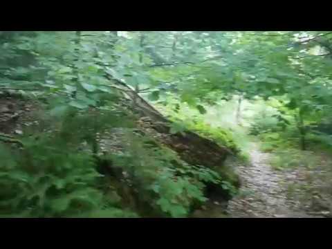 Wanderung auf einem Waldpfad bei Gönz im bayerischen Odenwald / Hiking on a trail in German Odenwald