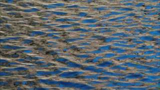 Light on Water (autumn) - featuring The Plateaux of Mirror by Harold Budd & Brian Eno