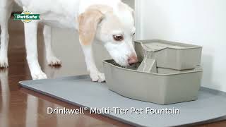 PetSafe Boost Your Pet's Water Intake with a Drinkwell