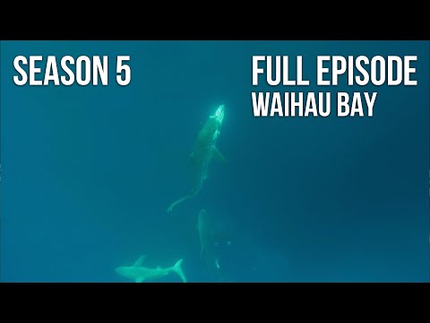 Fishing & Adventure Season5 EP10 - Waihau Bay
