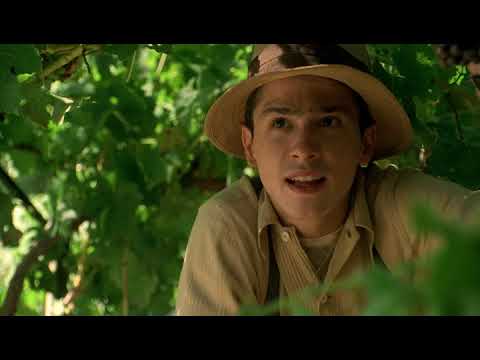 A Walk in the Clouds - Harvest