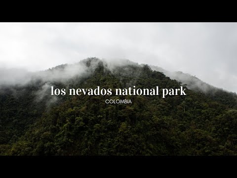 Exploring Los Nevados National Park in Colombia | Cinematic Travel Film