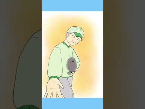 ペンギンに関する楽しい事実