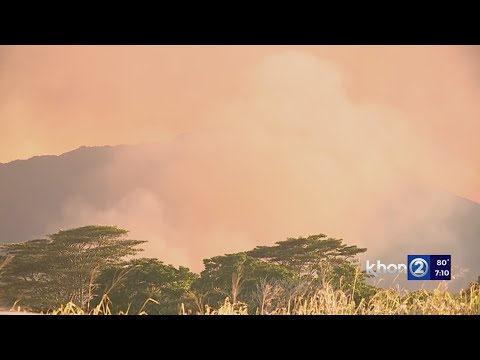 HFD battles brush fire near historical site in Wahiawa