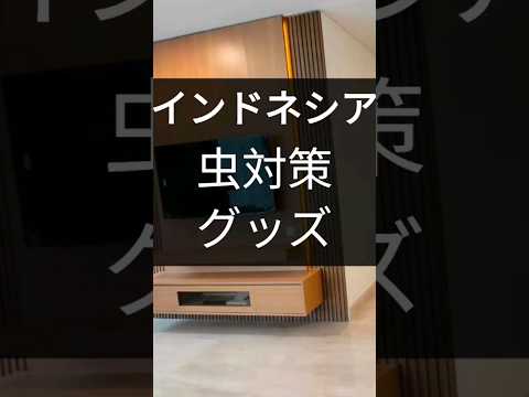 Produtos indonésios para controle de insetos Quais produtos são eficazes contra os mosquitos? #Jacarta vida #Jacarta