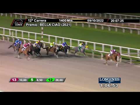 221009 c12 DELFINITA