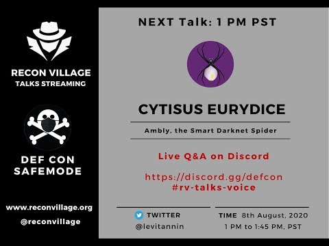 Recon Village DEF CON 28 SAFEMODE Streaming