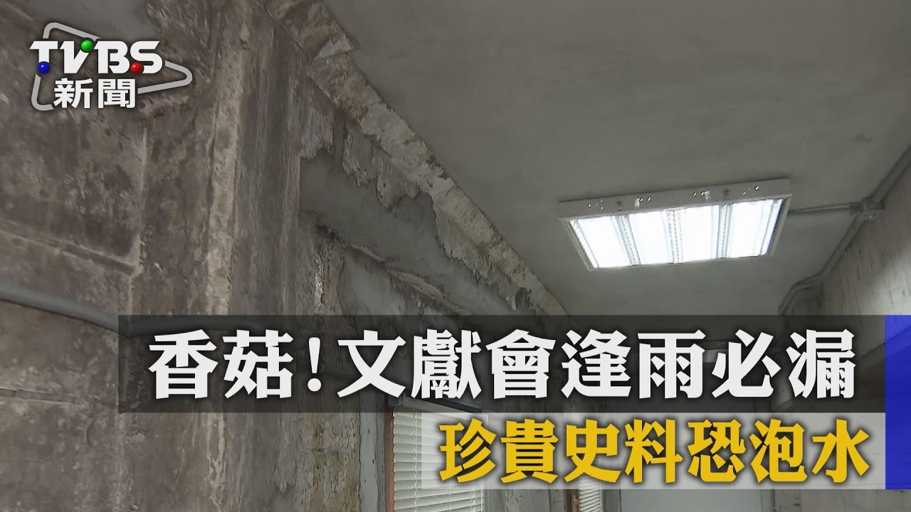 香菇！文獻會逢雨必漏　珍貴史料恐泡水