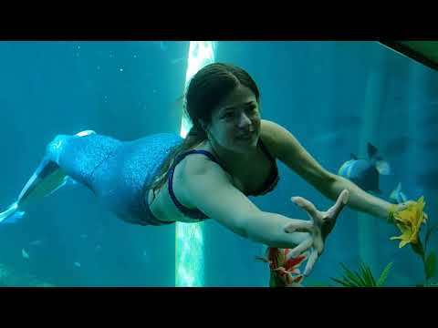 La Sirène Basque at the Mermates convention 2019