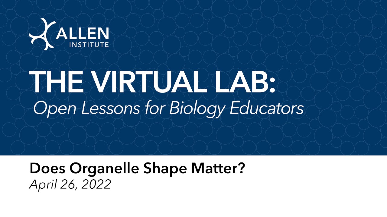 The Virtual Science Lab: Does Organelle Shape Matter?