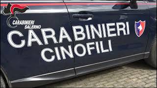 spaccio-tra-eboli-e-paestum-clienti-anche-da-avellino