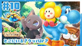 【ゲーム】クッパJrはどこにいる？！図鑑の中を大捜索【ヨッシーとフカシギの図鑑】#10 ★2026806