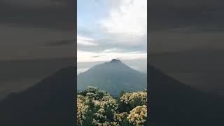Download lagu Keindahan yang tiada tara mp3 Download lagu Keindahan yang tiada tara mp3