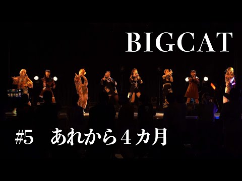 【えぐるの軌跡  #5】BIGCAT  あれから4カ月