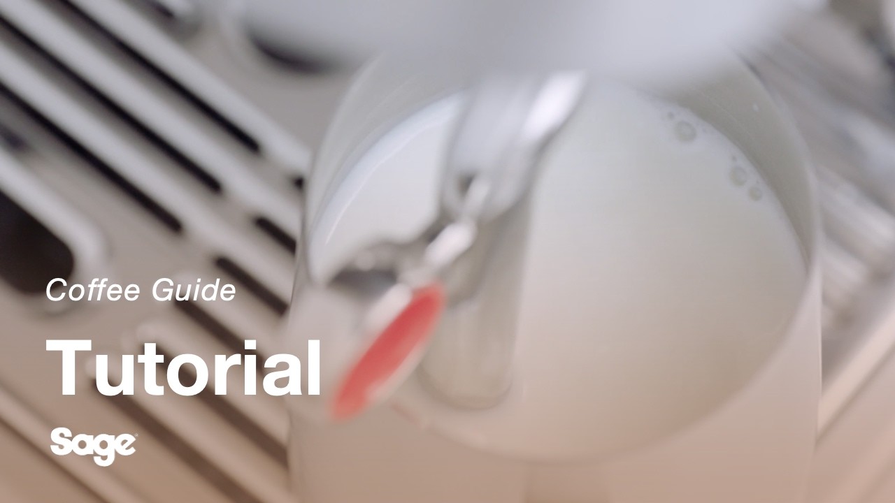 Auto MilQ Hands-free Milk Texturing