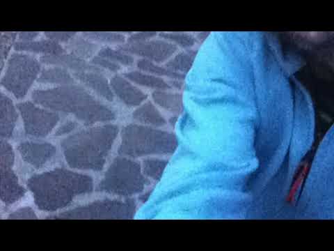 Samuele Crepaldi -ORIENTE SERPENTE-