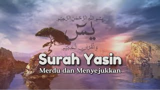Download lagu Surah Yasin - Sheikh Alaa Aqel - Tilawah Syahdu - @cahaya.islami mp3 Download lagu Surah Yasin - Sheikh Alaa Aqel - Tilawah Syahdu - @cahaya.islami mp3