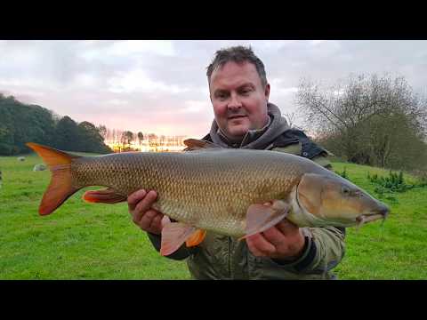 Dynamite Baits Pre-Drilled Pellets Big Fish River Barbel