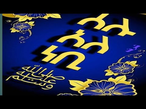 ሰሉ አለ ነቢ