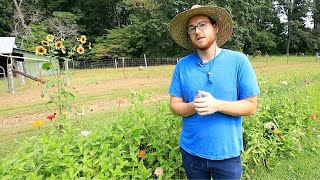 From 9-5 to Full-Time Flower Farmer
