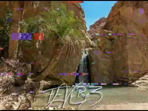 DOCTEUR STEEVE || TENI || WONDA WHY || 2021