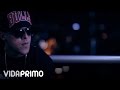 Gotay - Solo Decian Mmm [Official Video]