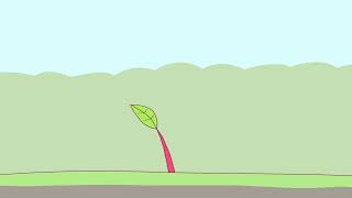 【ピクミン】ゆらゆら揺れるだけ