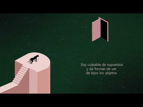 Razones De Bajo Perfil - Satelite Menor