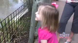 25 Kids and The Zoo Yankee Girl TV