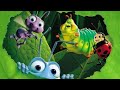 BUGS LIFE