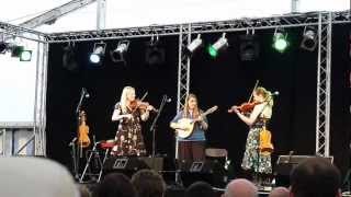 Vamm at Shrewsbury Folk Festival