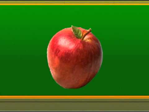 Aula sobre Pseudofruto