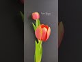 Paper Tulips #flower #handmade #papercraft #paperflowers #craft #handcrafted #paperflower