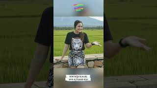 Download lagu Obrolan Bahasa Ngapak bikin ngakak | Logat Lucu Wong Banyumas | Ora Ngapak Ora Kepenak 369 mp3