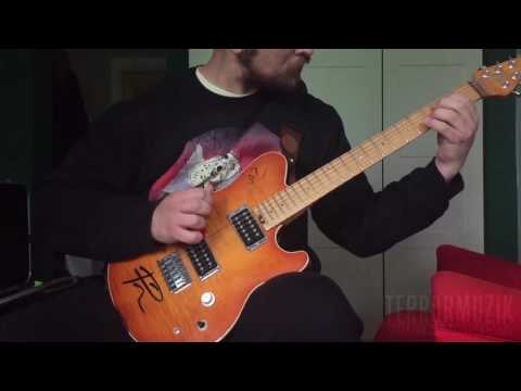 Exotic Animals Petting Zoo-Thorough.Modern. guitar cover