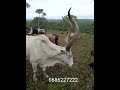 MDENDELA LUFUNZA UJUMBE WA LUYANGULA PRD MBASHA STUDIO 2025