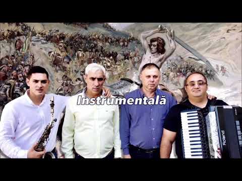 NEGATIV   FR TIBI DE LA VALCEA NU MA TEM DE NIMENI   VOL  13 2017